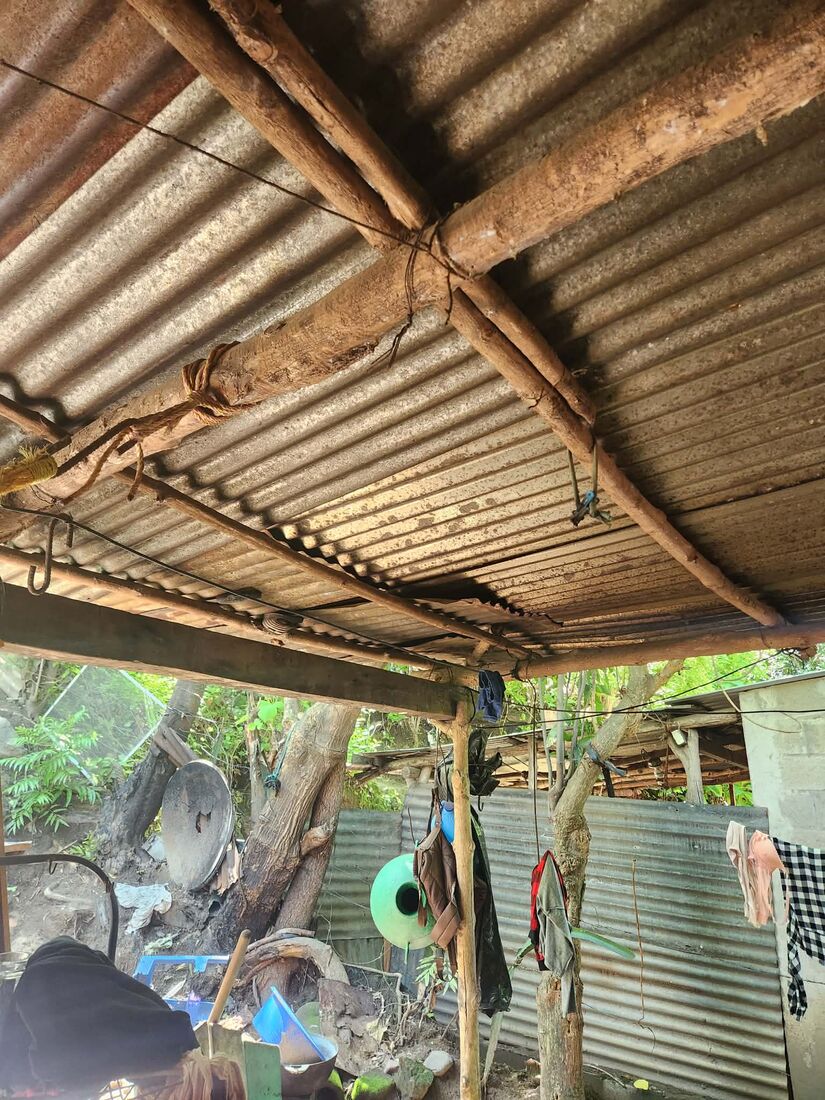 The underside of a sagging metal roof held up by rough timber posts, showing structural weakness